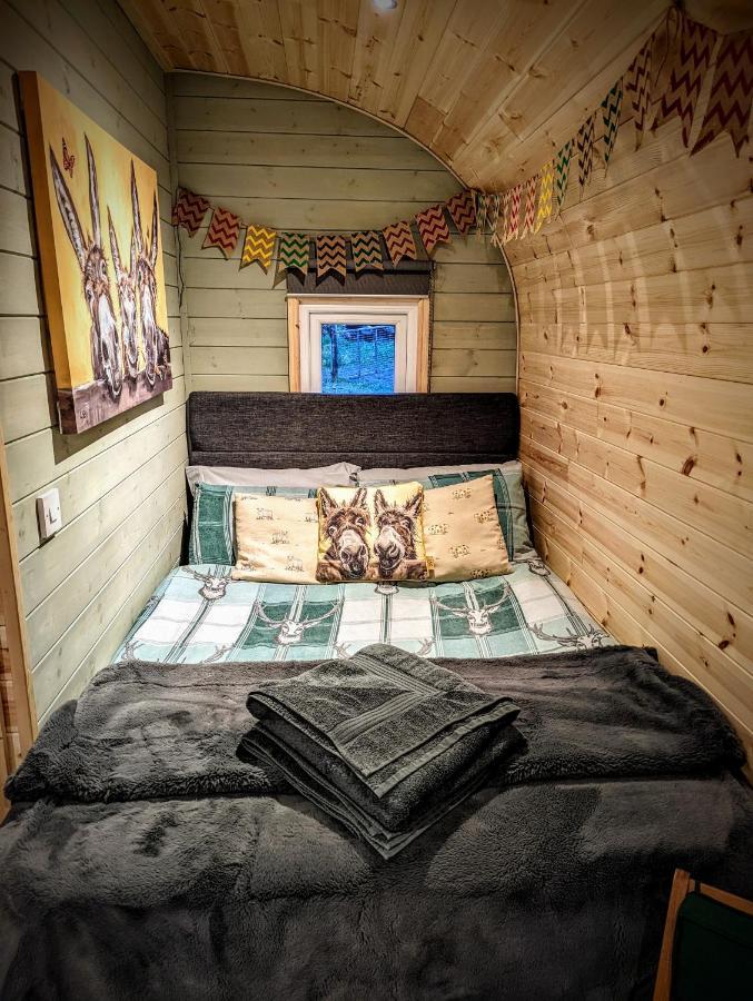 Emlyn'S Coppice - Luxury Woodland Glamping Villa Holywell  Exteriör bild