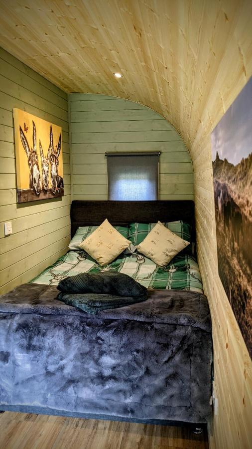 Emlyn'S Coppice - Luxury Woodland Glamping Villa Holywell  Exteriör bild
