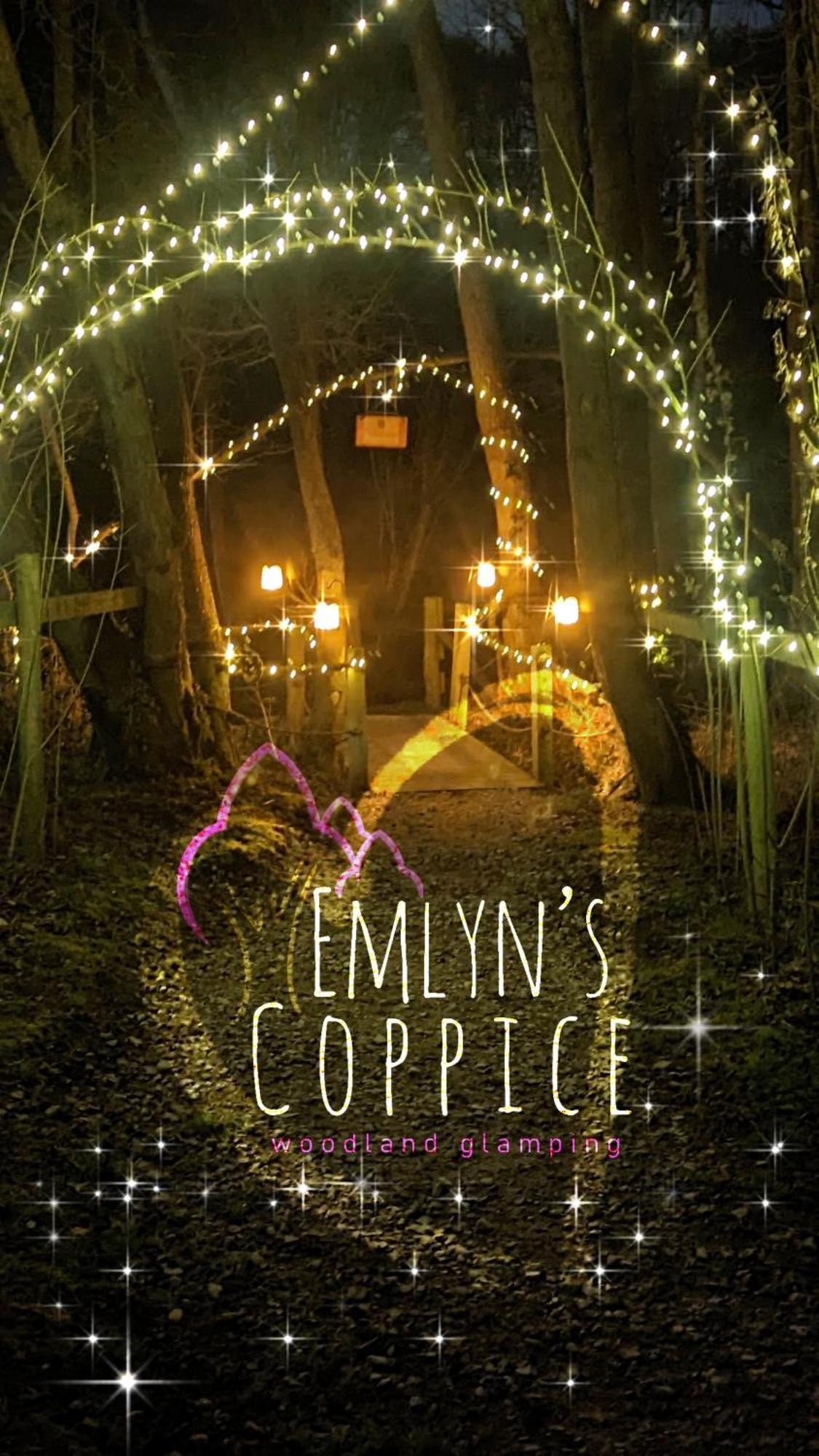 Emlyn'S Coppice - Luxury Woodland Glamping Villa Holywell  Exteriör bild